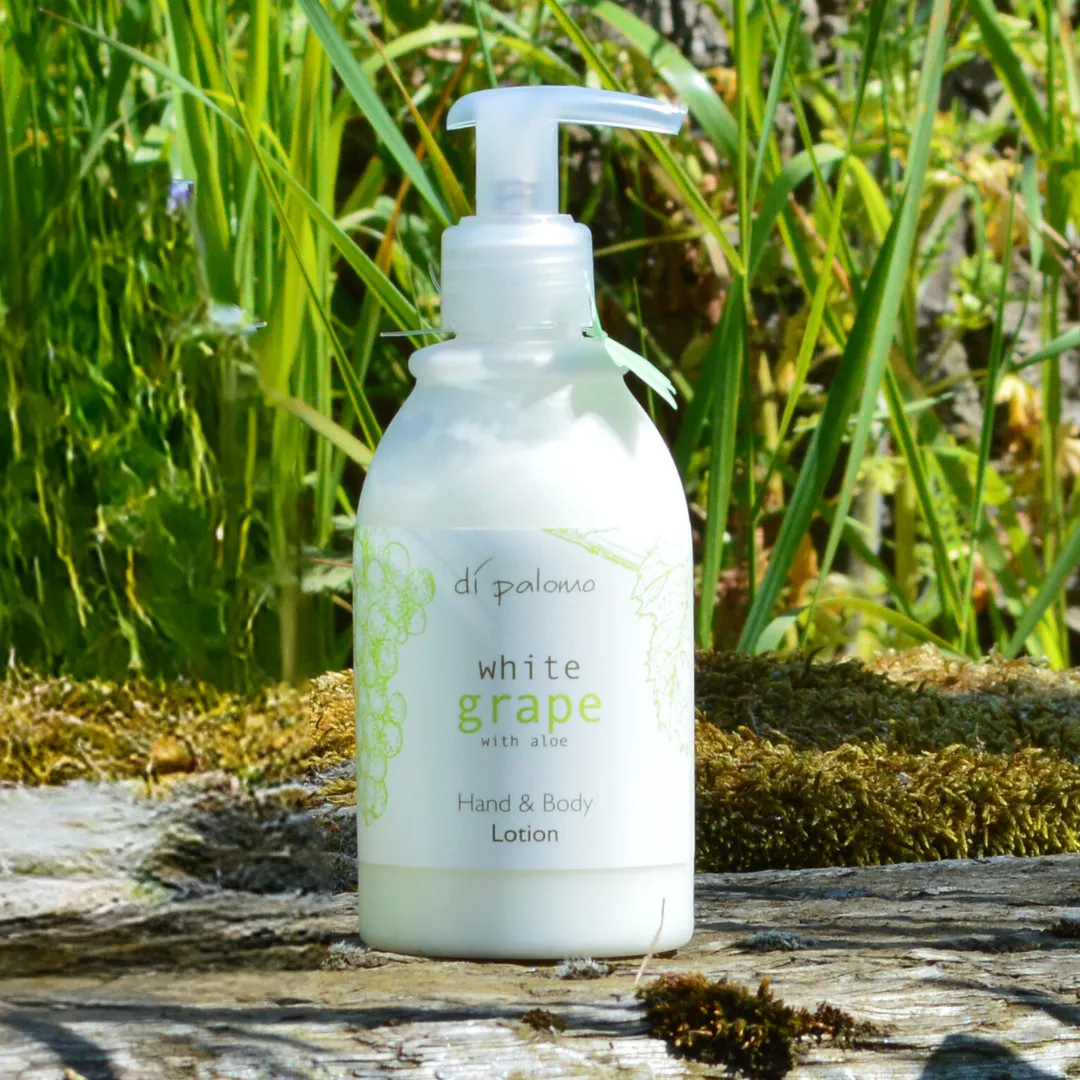 Hand & Body Lotion - White Grape - 240ml